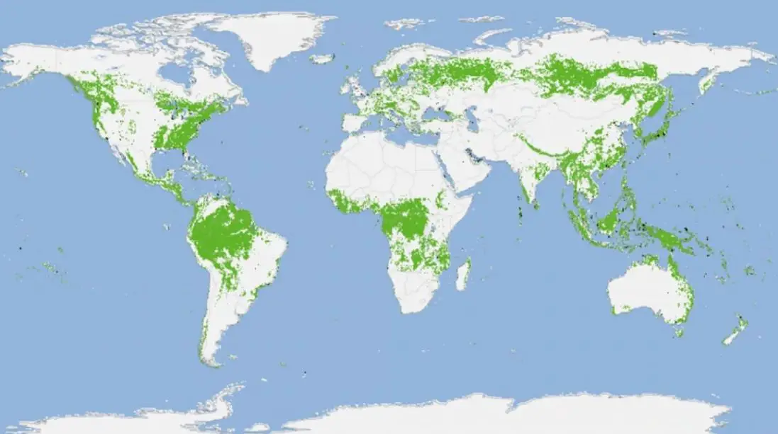 Mapa bosques